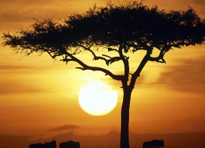 Загадочная Африка